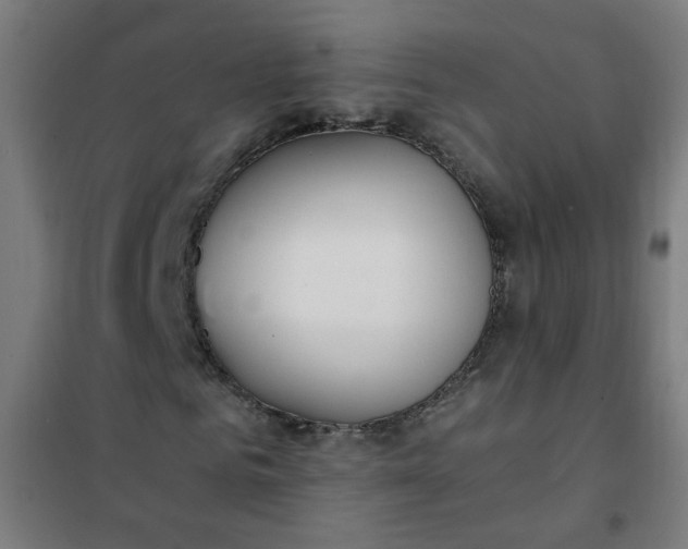 X0000101680961200807241342