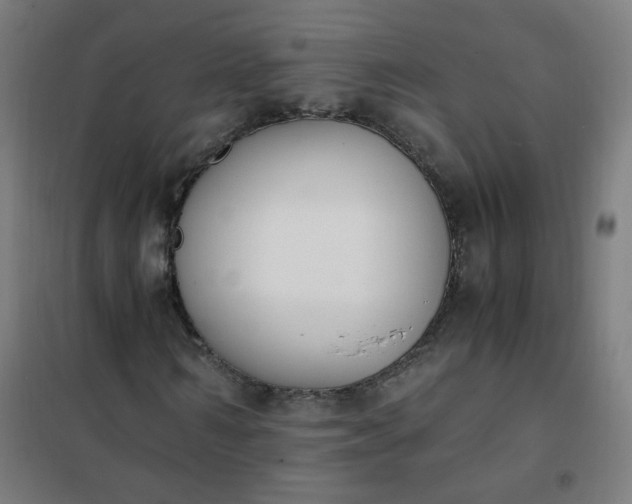 X0000101680962200807241342