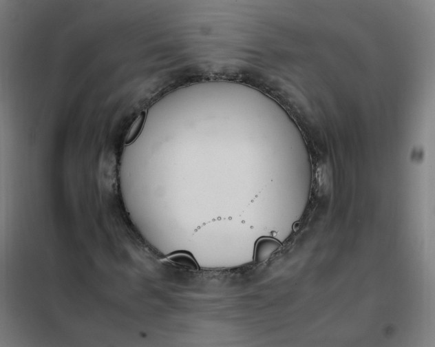 X0000101680963200807241342