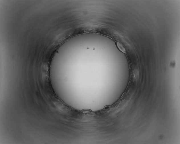 X0000101680964200807241342