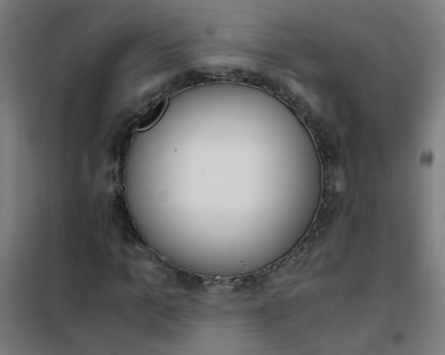 X0000101680965200807241342