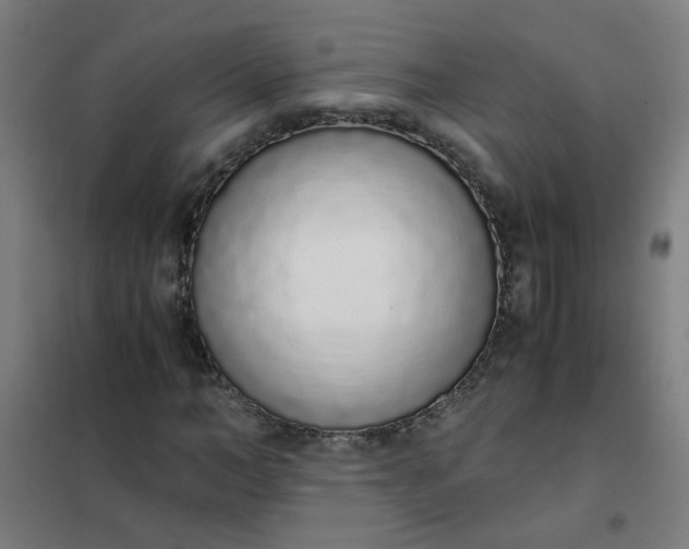 X0000101680966200807241342