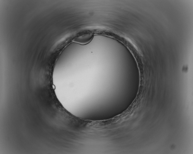 X0000101680967200807241341