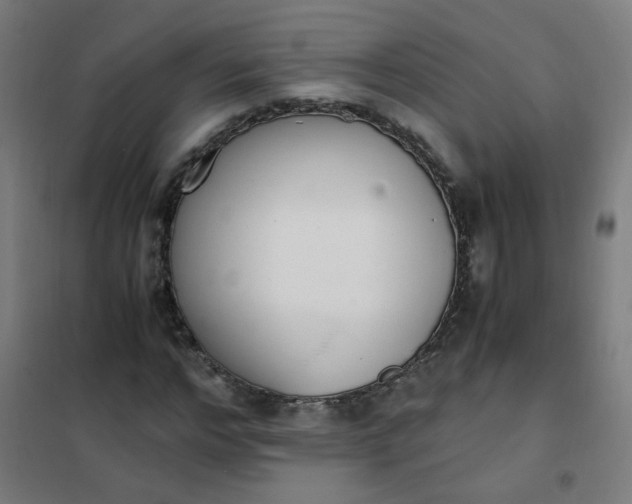 X0000101680968200807241341