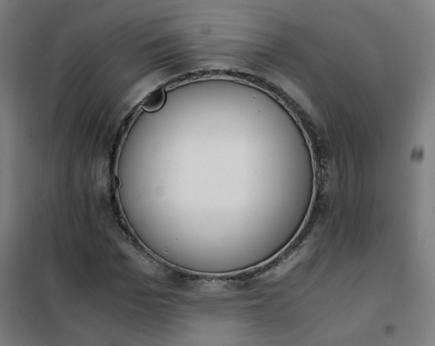 X0000101680969200807241341