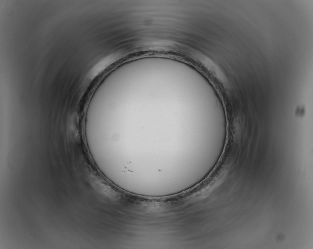 X0000101680970200807241341