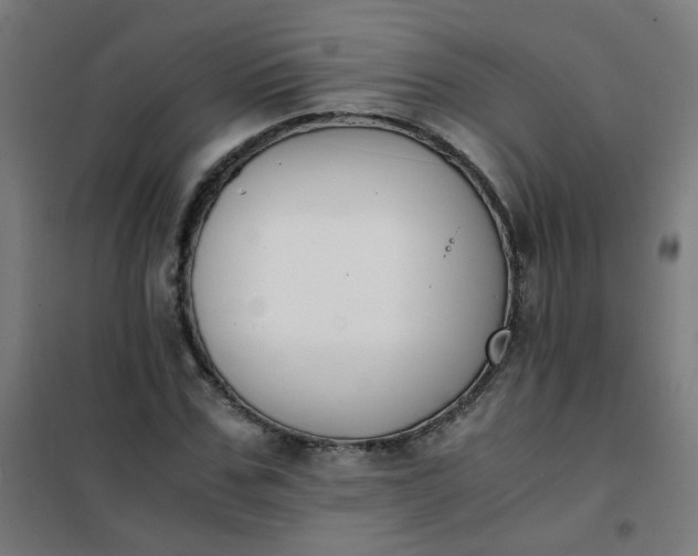 X0000101680971200807241341