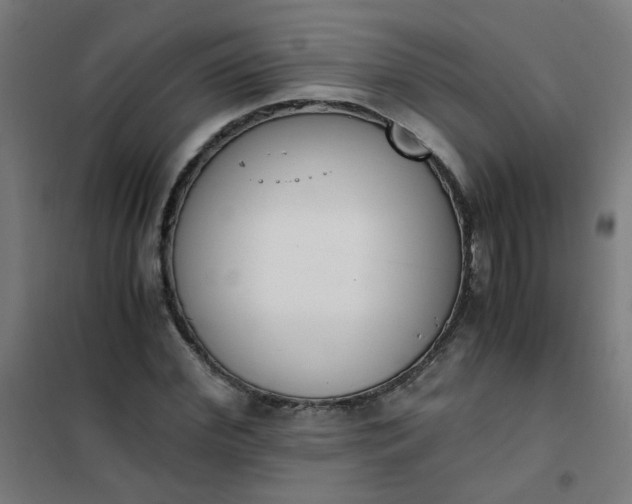 X0000101680972200807241341