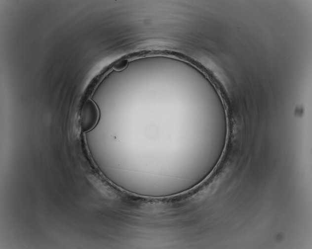 X0000101680973200807241341