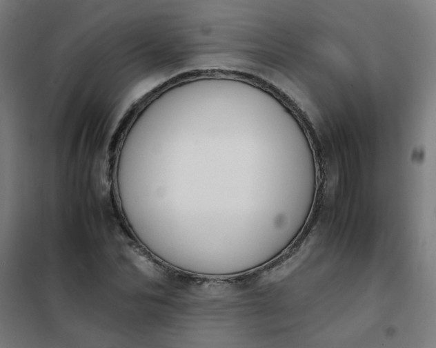 X0000101680974200807241341