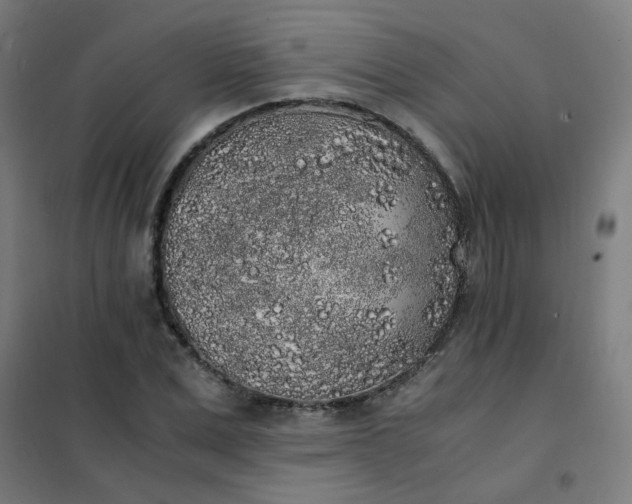 X0000101680975200807241341