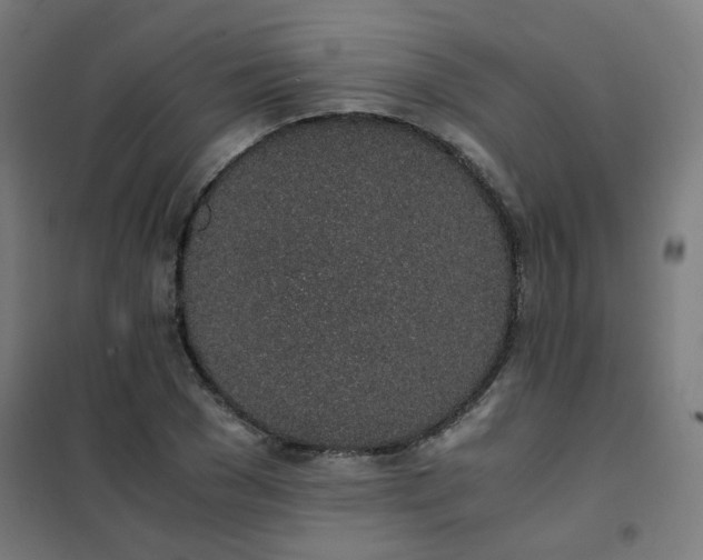 X0000101680977200807241341