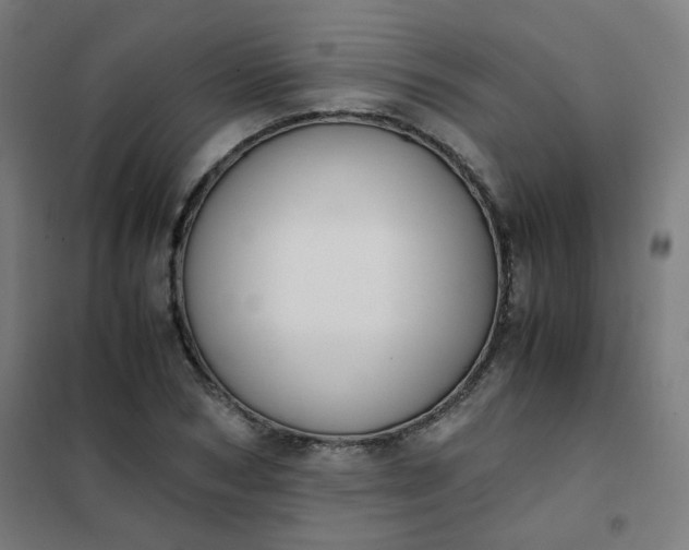 X0000101680978200807241341