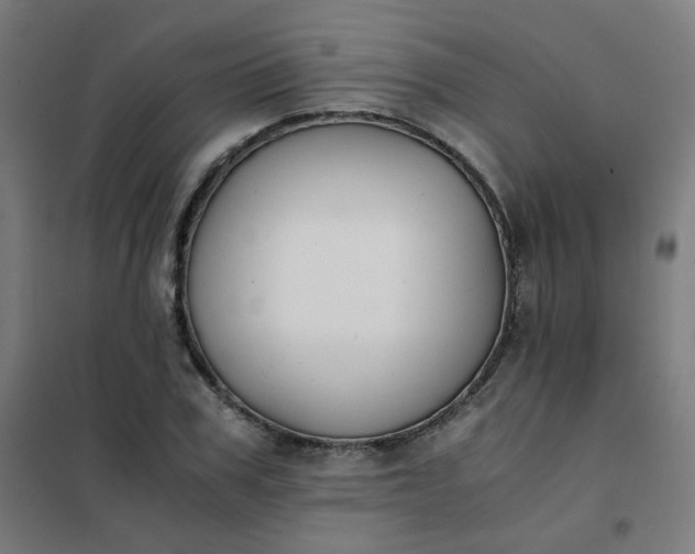 X0000101680979200807241341