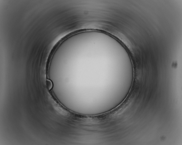 X0000101680980200807241341