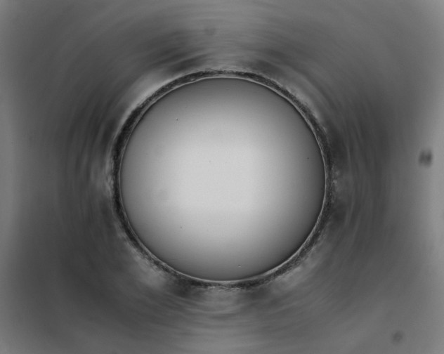 X0000101680981200807241341