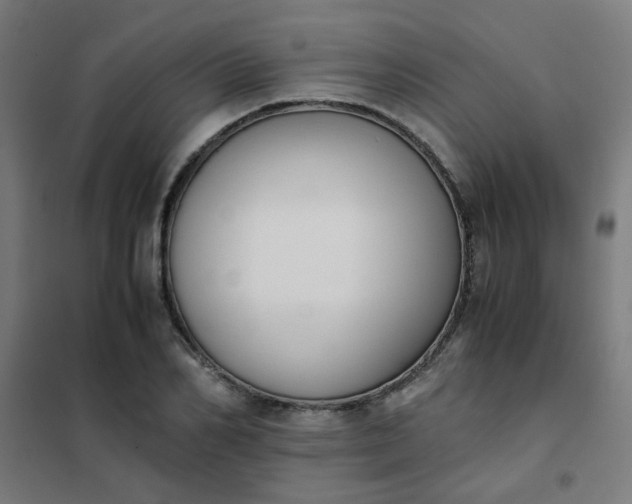 X0000101680982200807241341