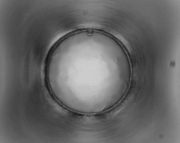 X0000101680983200807241341