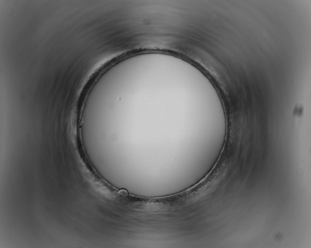 X0000101680984200807241341