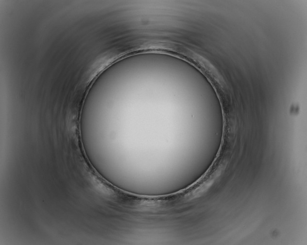 X0000101680985200807241341