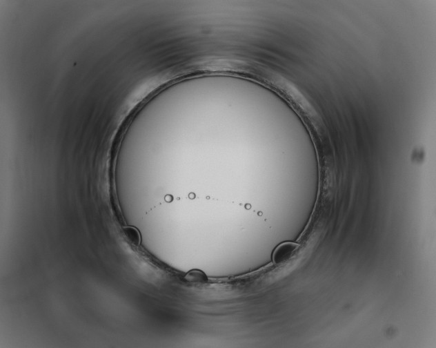 X0000101680986200807241341