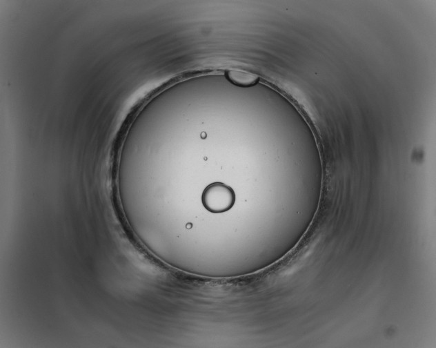 X0000101680987200807241341