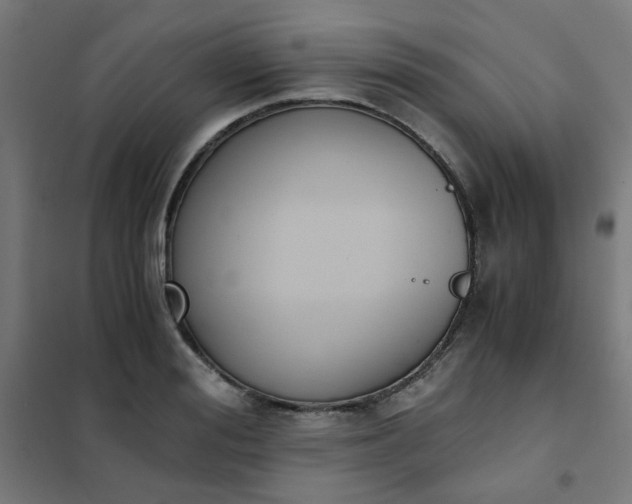 X0000101680988200807241341