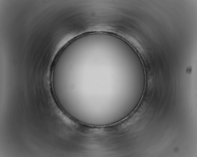 X0000101680990200807241341