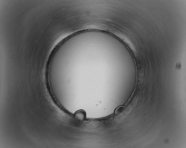 X0000101680991200807241341