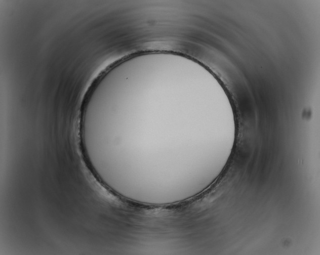 X0000101680992200807241341