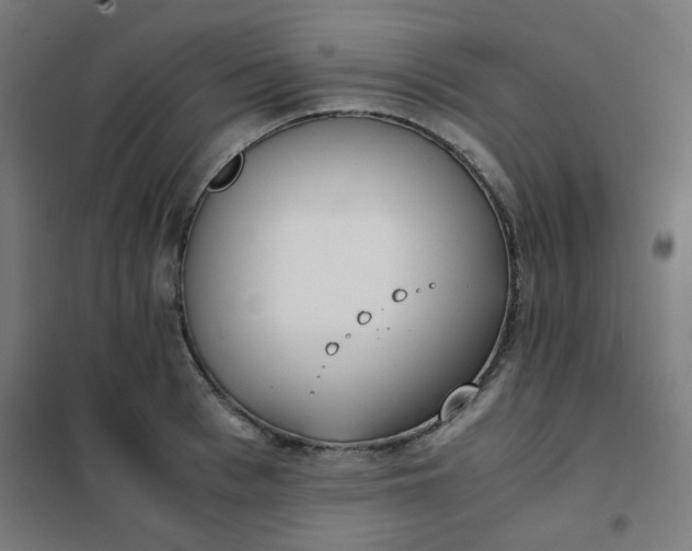 X0000101680993200807241341