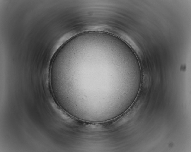 X0000101680994200807241341