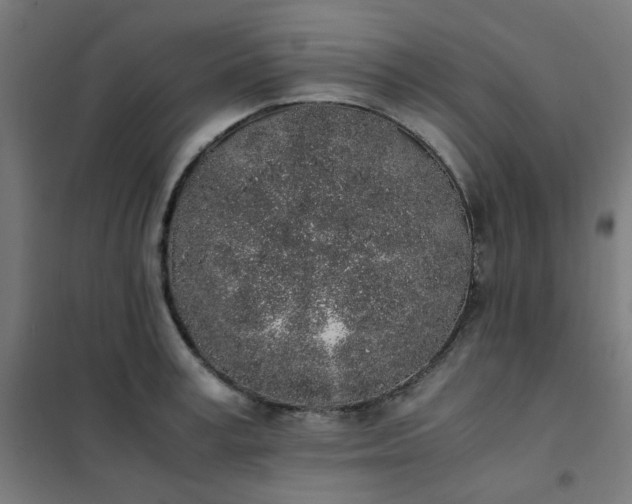 X0000101680995200807241341