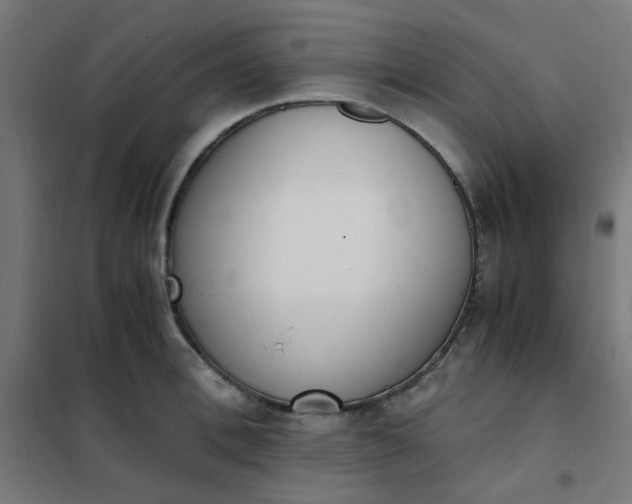 X0000101680996200807241341