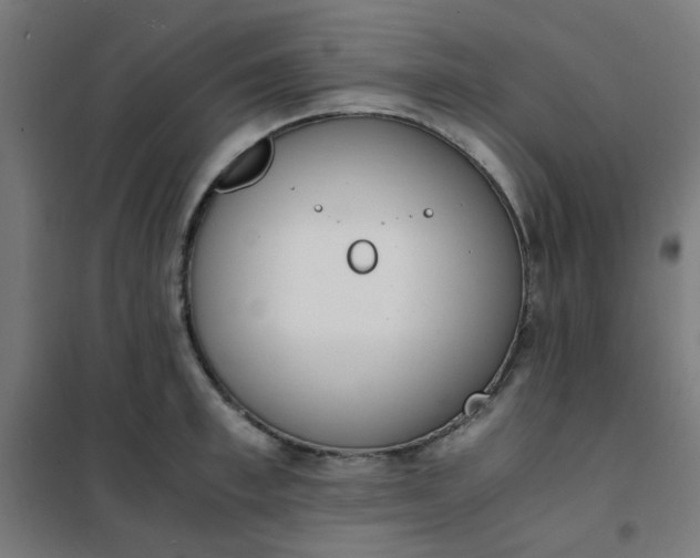 X0000101680997200807241341