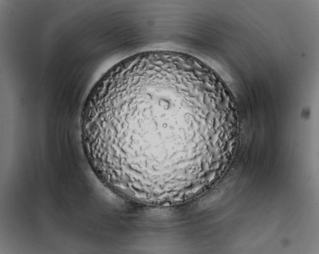 X0000101680998200807241341