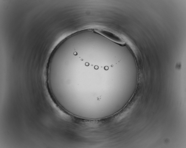 X0000101680999200807241341