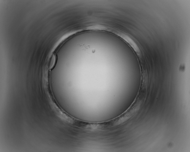 X0000101681000200807241341