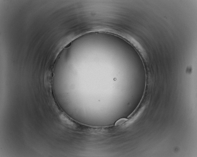 X0000101681001200807241341