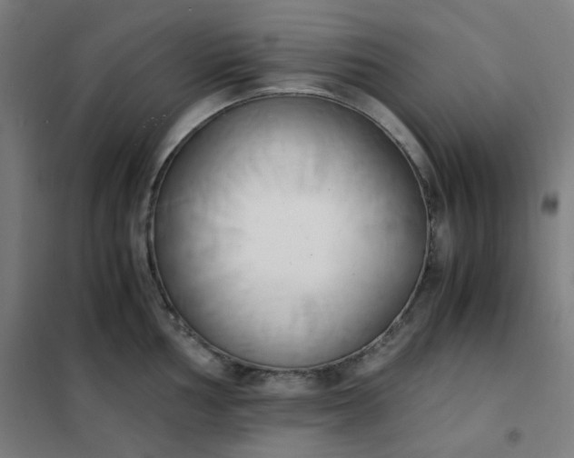 X0000101681002200807241341