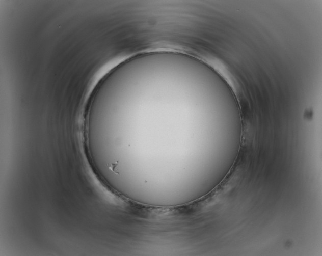 X0000101681003200807241341