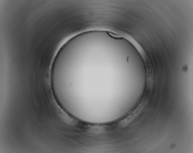 X0000101681004200807241341