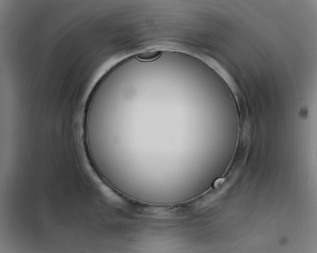 X0000101681005200807241341