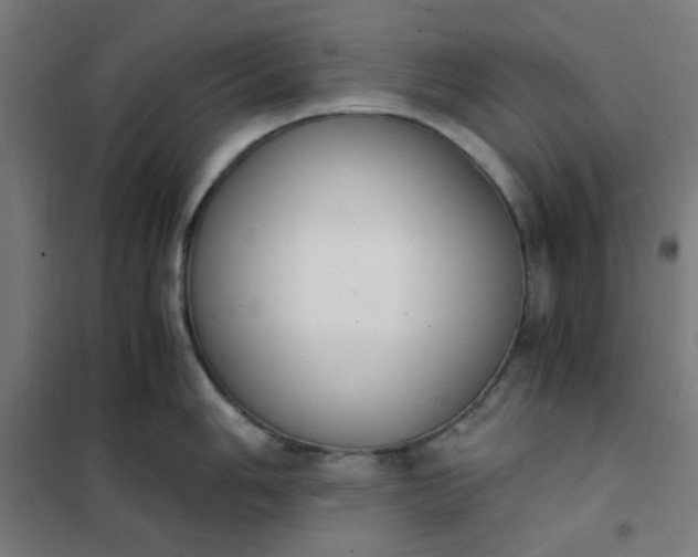 X0000101681006200807241341