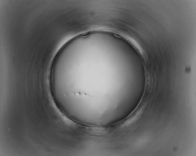 X0000101681007200807241341