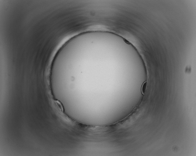 X0000101681008200807241341