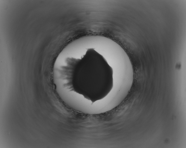 X0000101681009200807241340