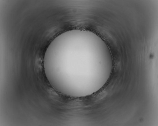 X0000101681010200807241340