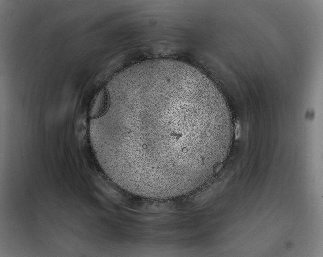 X0000101681011200807241340