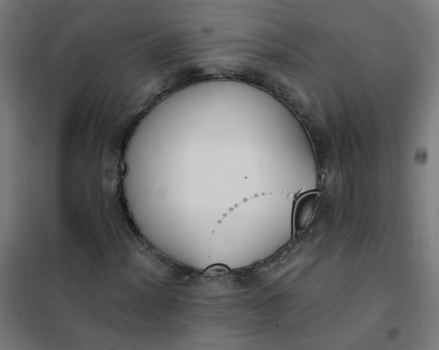 X0000101681012200807241340